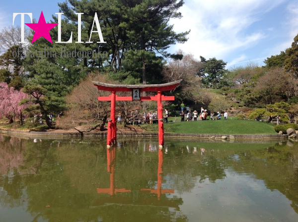 Бруклинский Ботанический Сад в Нью-Йорке (Brooklyn Botanic Garden)
